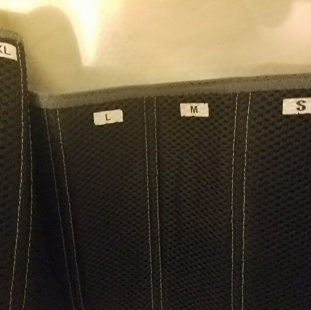 Back Brace/Support - image 2